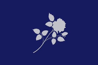 Flower Blue Long, par Xavier E. G. Dierick